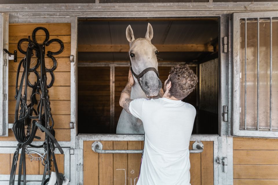 Vienna: Secrets of the Fiaker & Horse-Drawn Carriage Ride - Meeting Point