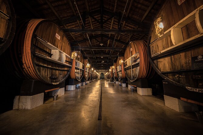 VIP Tour of the Cellars and Wine and Vermouth Tastings - Tour Features