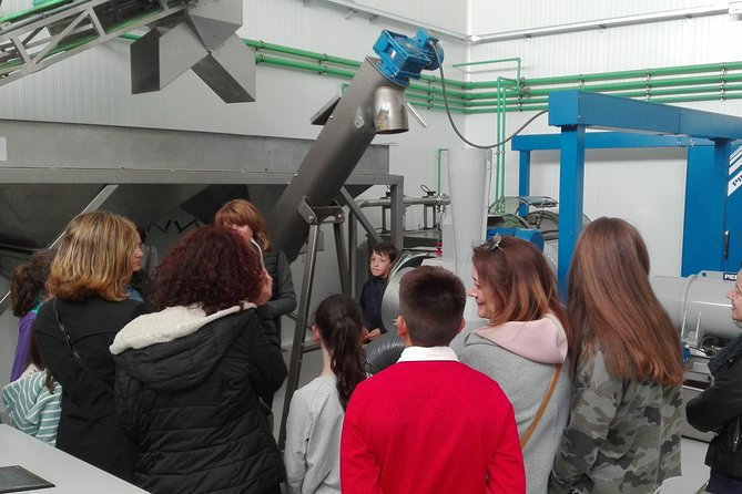 Visit to the Oil Mill With EVOO Experiences in Cuenca - Accessibility for Visitors