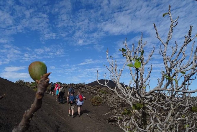 Volcano Trekking Tour (Timanfaya Eruptions) - Meeting and Pickup