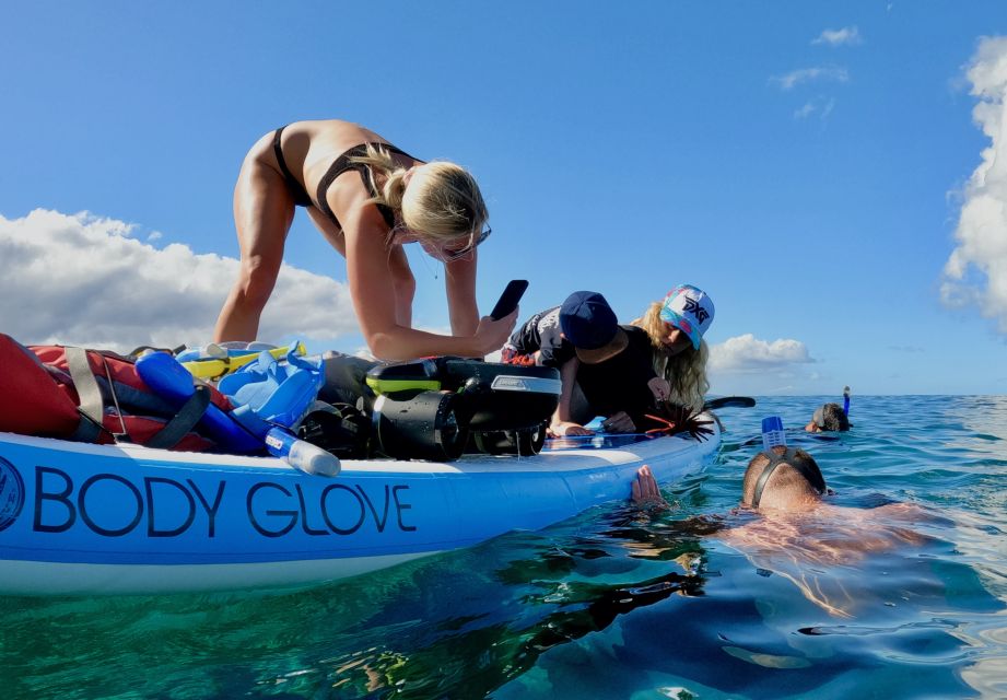 Wailea Beach: Snorkeling Tour for Non-Swimmers & Beginners - Snorkeling Experience