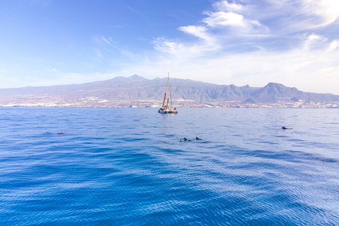 Watching and Listening Whales Visiting Los Gigantes&Masca. Food&Drinks Included - Included Activities and Amenities