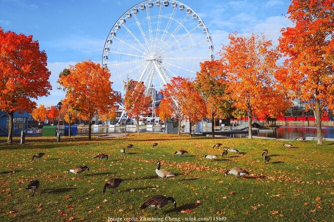 Welcome to Montreal's Old Town: Private 2-hour Walking Tour - Exclusions From the Tour