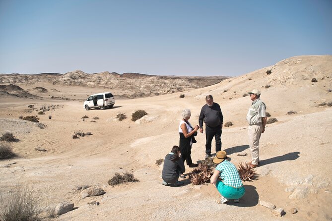 Welwitschia Tour From Swakopmund - Inclusions