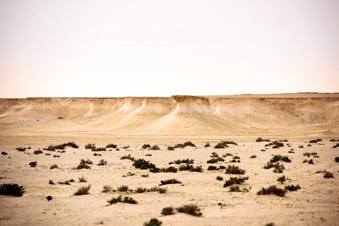 West of Qatar Tour || Richard Serra || Mushroom Rock Formation - Activities Included