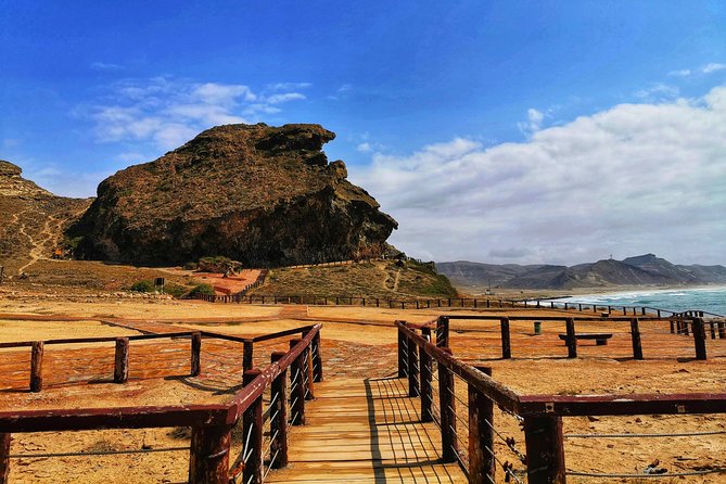 West Salalah, Al Mughsail Beach, White Beach, Frankincense Tree (Half Day Tour) - Ayn Razat Natural Spring