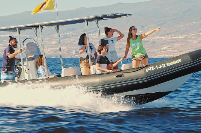 Whale and Dolphin Watching EcoAdventure in Tenerife - Inclusions and Highlights