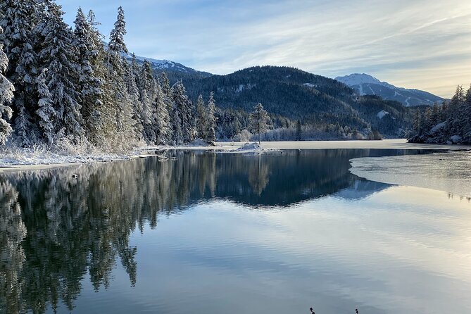 Whistler Half-Day Mountain Bike Tour - Difficulty Level and Suitability