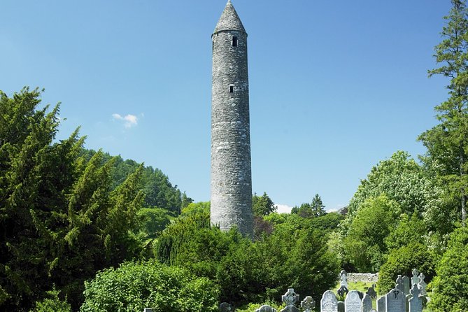 Wicklow & Glendalough Day Tour From Dublin - Avondales Aerial Walkway Experience