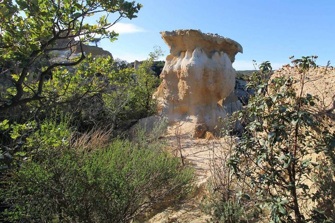 Wild Organs: Grand Landscape, Plants, Geology, Birdsongs - Tour Features