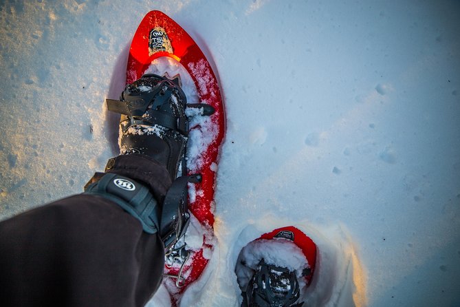 Wilderness Snowshoe Adventure - Meeting and Pickup