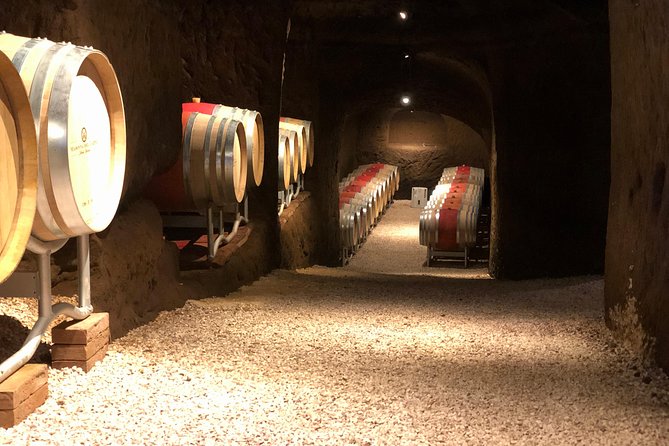 Wine Tasting and Winery Tour - Exploration of Wine Cellars