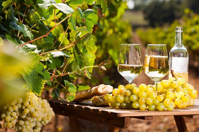 Wine Tasting, Provencal Market, & Countryside Full-Day Tour - Inclusions