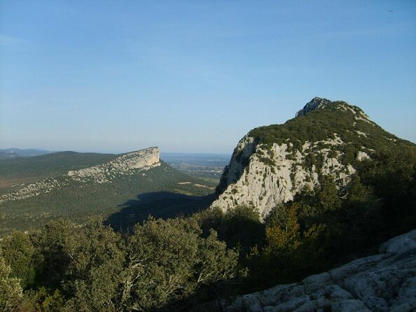 Wine Tour & Food Experience in Pic St Loup - Exploring Vineyards