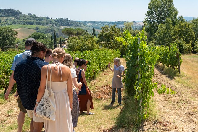 Wine Tour With Lunch and Wine Tasting - Exploring the Grape Varietals