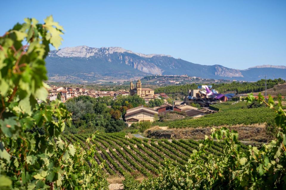 Wine Trails & Medieval Tales: Bilbao's Heartland Tour - Architectural Marvels of Bodegas