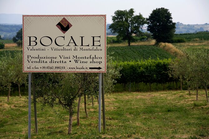 Winery Tour and Private Tasting in Montefalco - Wine Tasting: 3 Local Wines