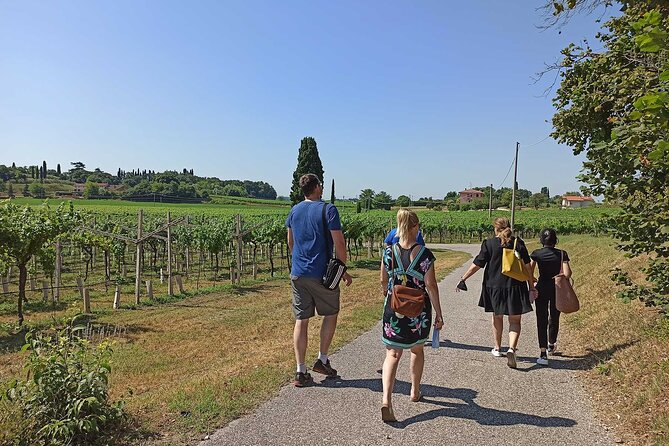 Winery Tour and Tasting of Garda Wines in Lazise - Tour Through the Vineyards