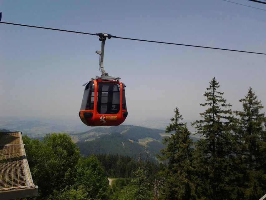 Winter Panorama Mount Pilatus: Small Group Tour From Luzern - Scenic Cableway Ascent