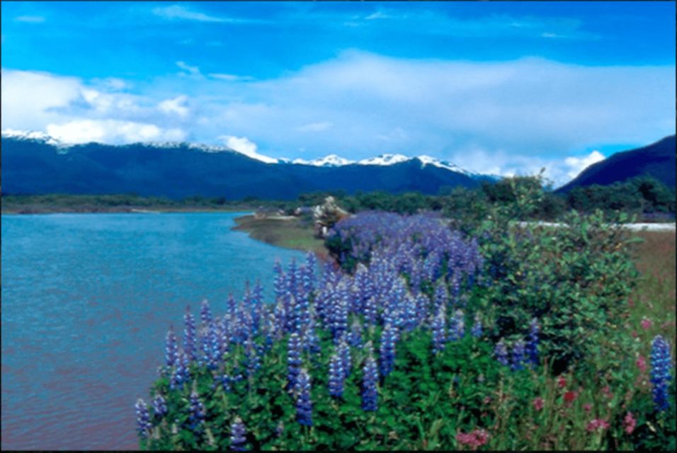 Wrangell: Stikine River Boat Tour - Limited Group Size