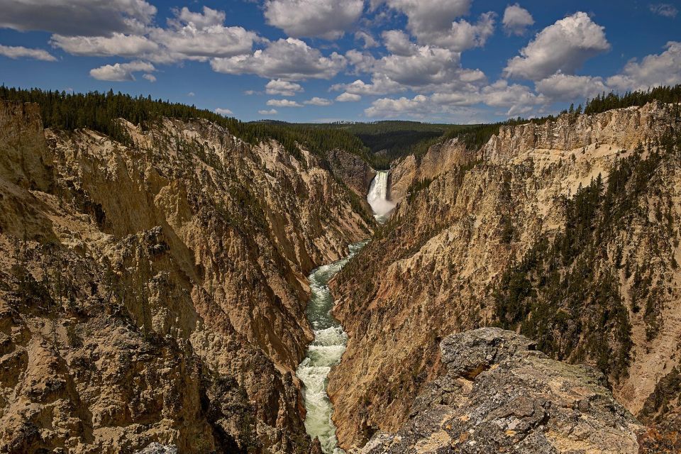 Yellowstone: Bespoke Photo Tour - Summer - Includes