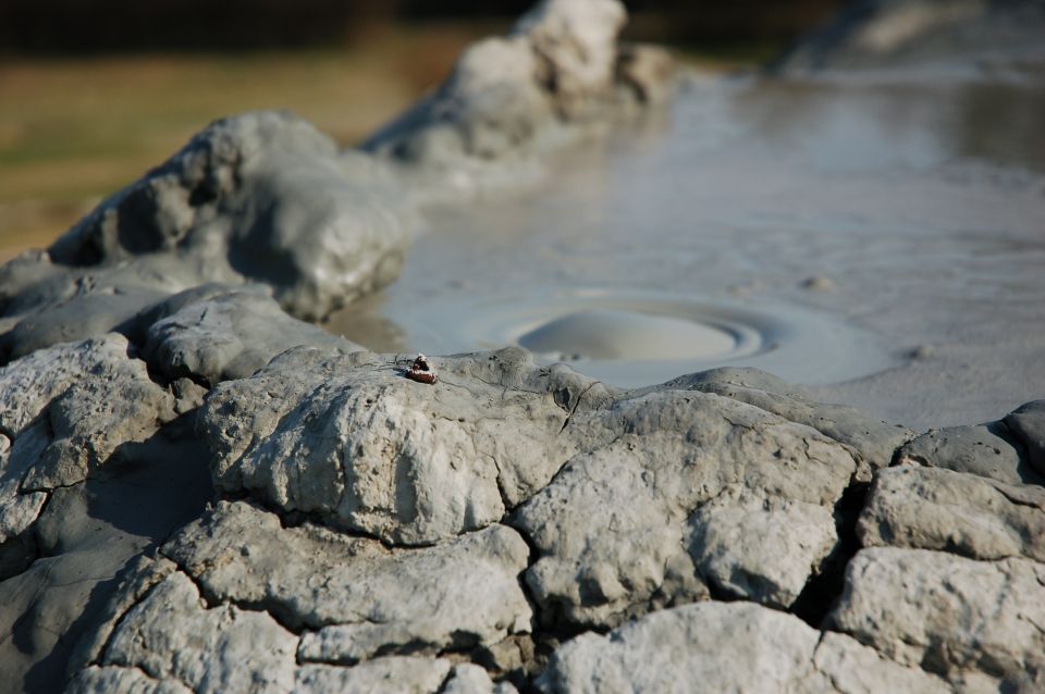 Yellowstone National Park: Self-Guided GPS Audio Tour - Key Attractions