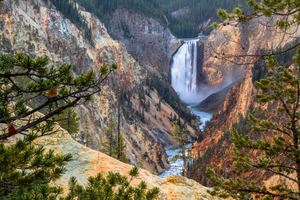 Yellowstone: Old Faithful, Waterfalls, and Wildlife Day Tour - Pickup and Transportation