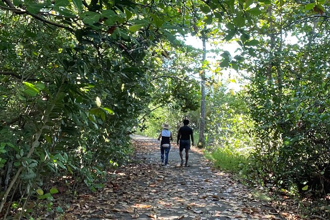 Yunque & Piñones Tour Hike Eat & Adventure With a Local; San Juan - Health and Safety Guidelines