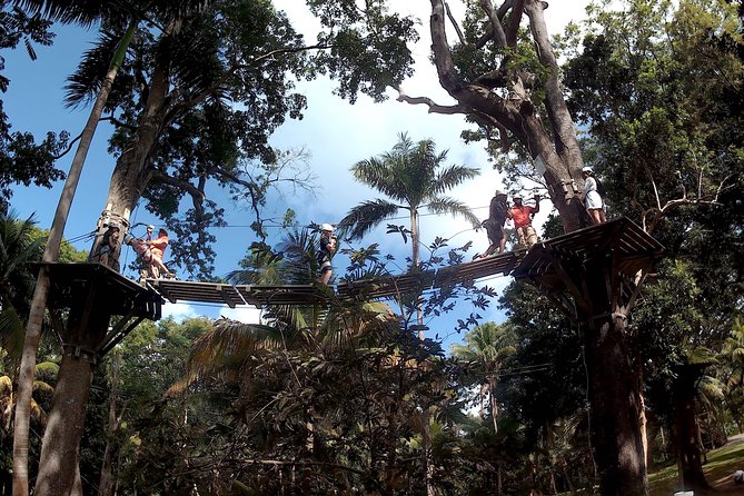 Zip Line Over the Dunns River Falls - Positive Customer Experiences