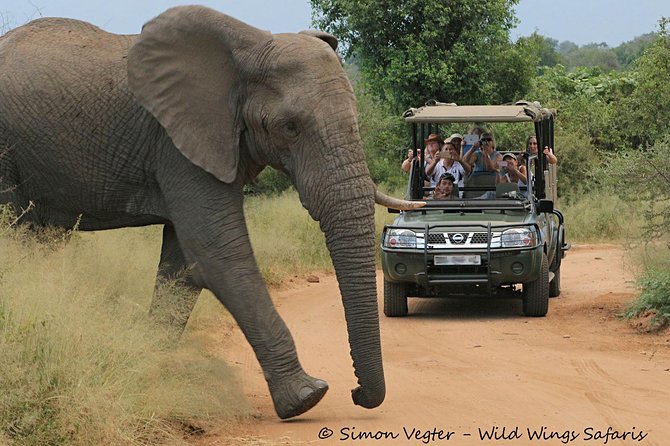 3-Day Kruger National Park Open Vehicle Safari - Overview of the Safari