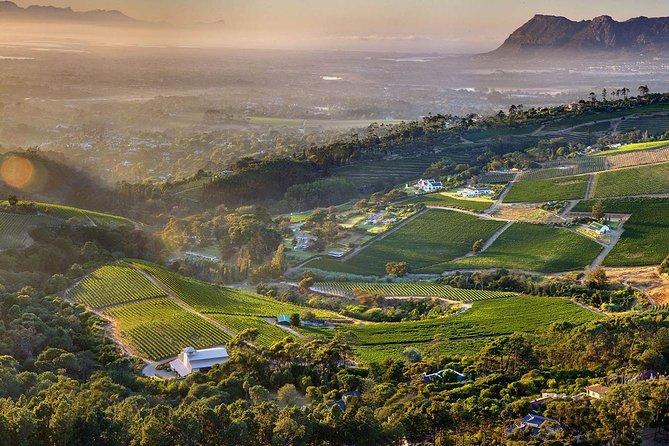 1 Day Cape Point and Constantia Wine Tour With Private Transfers - Inclusions