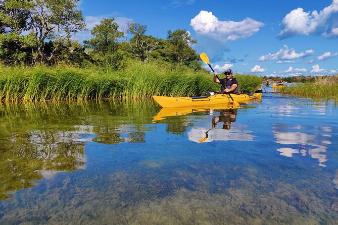 1-Day Small-Group Stockholm Archipelago Kayak Tour - Kayaking Experience and Logistics