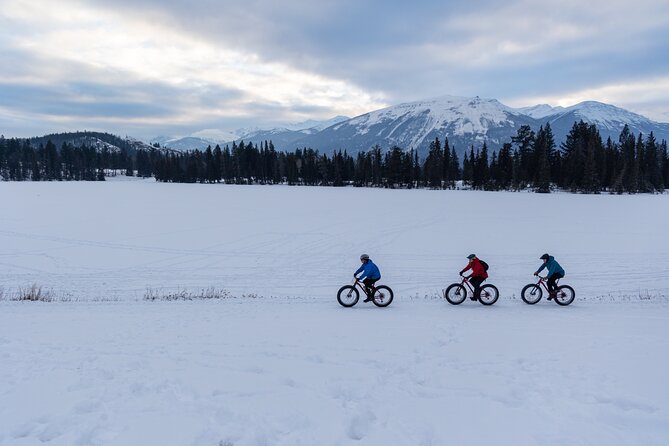 1-Hour Guided Group Fat Bike Tour - Additional Tour Information