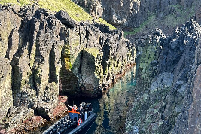 1 Hour Iceland Nature and Wildlife RIB Small Group Guided Safari - Highlights of the Experience