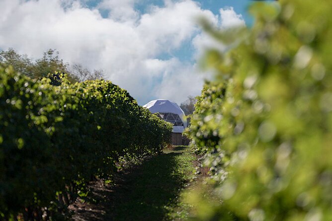 1 Hour Private Vineyard Dome Experience in Niagara-on-the-Lake - Accessibility and Accommodations