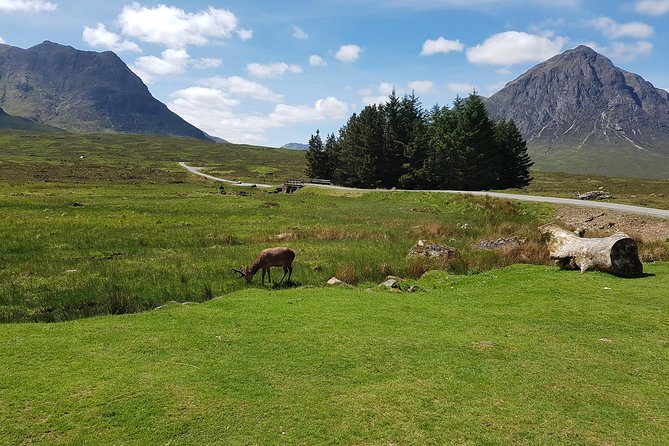 2-Day Highlands and Loch Ness Tour From Edinburgh - Whisky Production at a Distillery