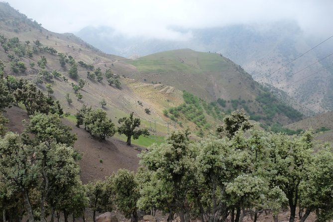 2 Days Atlas Mountains Trek - Inclusions