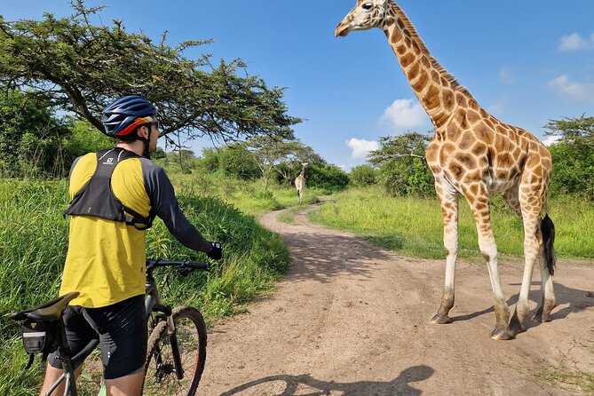 2 Days Cycling Safari To Lake Mburo National Park - Additional Services