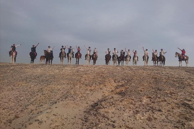 2 Hours Horse Riding on the Sea and Desert- Hurghada - Confirmation and Accessibility