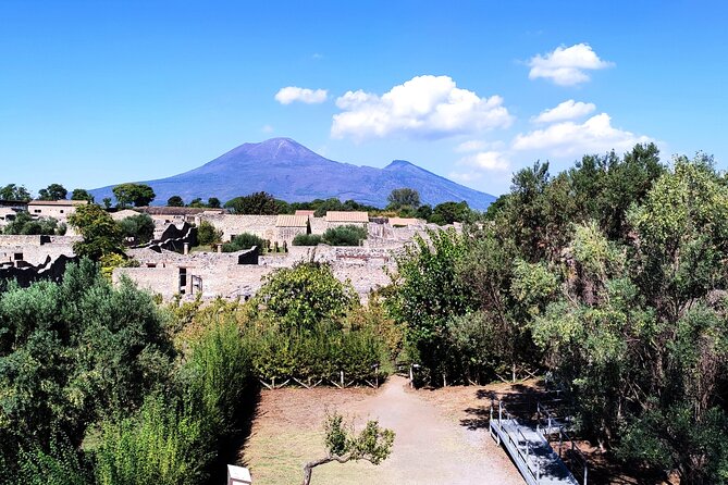 2 Hours Private Tour in Pompeii With Archaeologist - Accessibility and Transportation