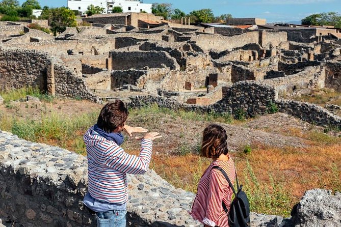 2 Hours Walking Tour in Pompeii With an Archaeologist - Accessibility and Participation