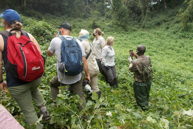 3 Days Bwindi Gorilla Trekking Tour - Additional Information