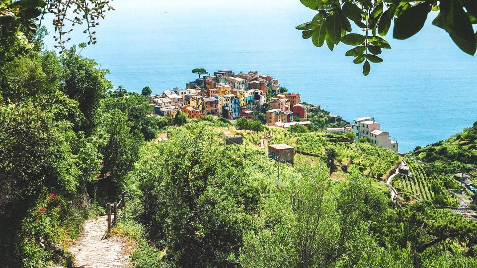 3 Days Hike & Kayak in Cinque Terre - Kayaking Excursion