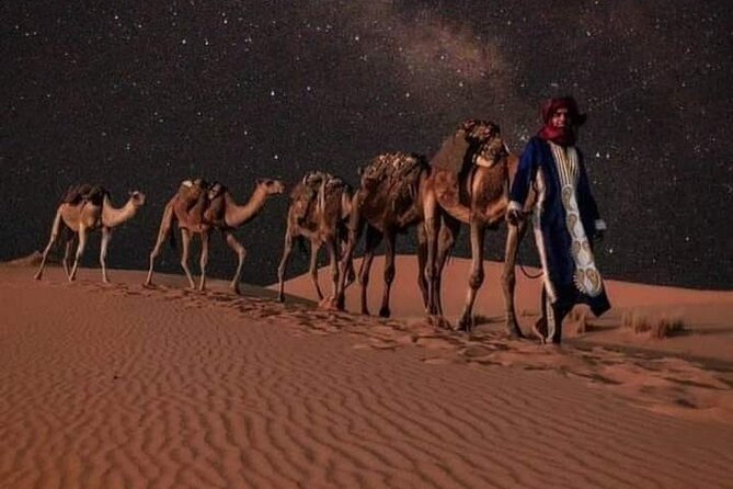 3 Days Luxury Desert Tour From Fes To Marrakech via Merzouga - Accessibility and Capacity