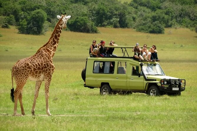 3 Days Safari Ngorongoro Crater and Serengeti National Park - Participation Criteria