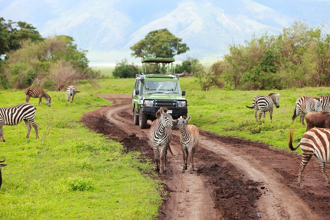 3 Days Tarangire, Manyara & Ngorongoro Budget Lodge Safari Tour Tanzania - Inclusions