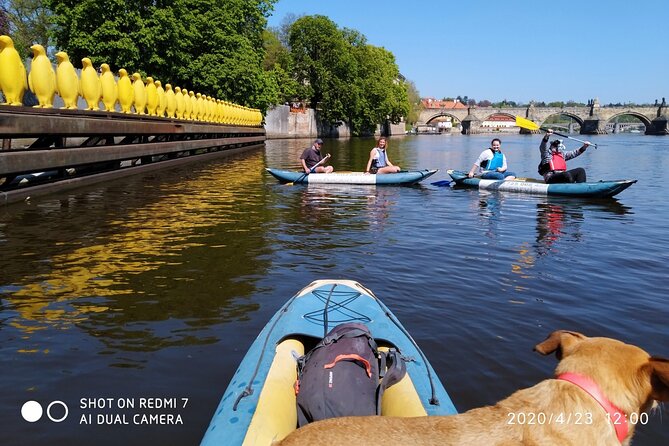 3 Hour Canoe Tour in Prague Centre - Experience Details