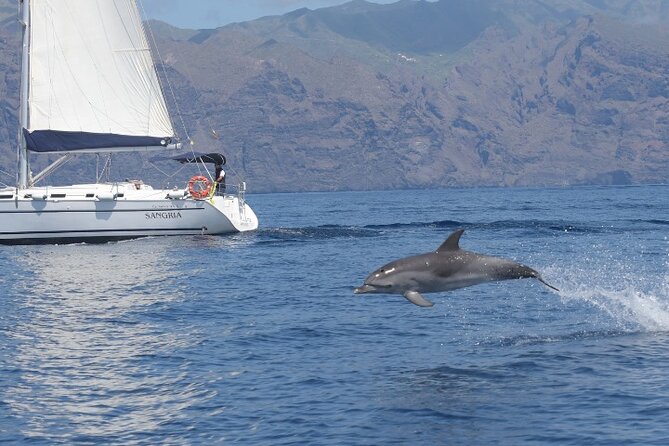 3-Hour Cetacean Watching and Snorkeling Tour in Tenerife - Pricing and Cancellation