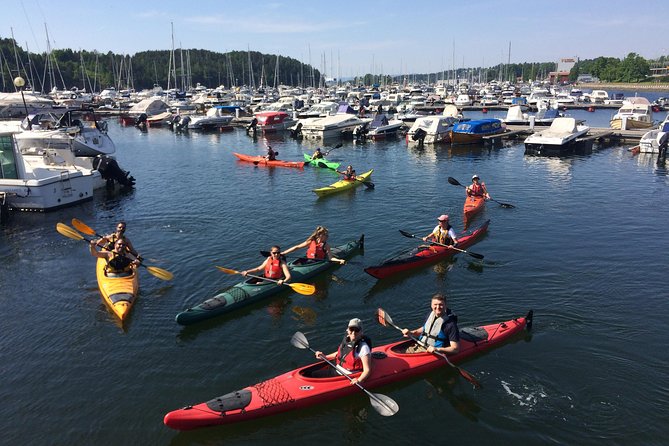 3- Hour Kayak Tour on the Oslofjord - Group Size and Age Requirement