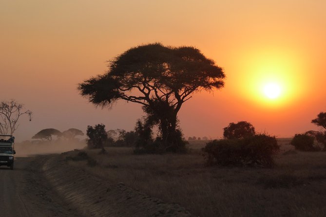 4-Day Safari: Lake Manyara, Serengeti & Ngorongoro - Group Size and Personalization